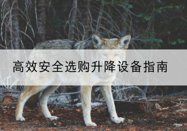 商河升降货梯厂家推荐-*安全选购升降设备指南