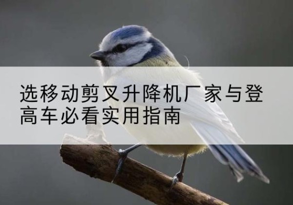 商河电动升降机厂家-选移动剪叉升降机厂家与登高车必看实用指南