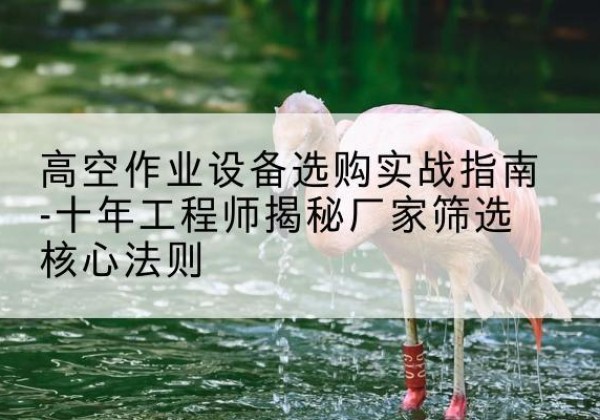 商河剪叉式升降机厂家-高空作业设备选购实战指南-十年工程师揭秘厂家筛选核心法则